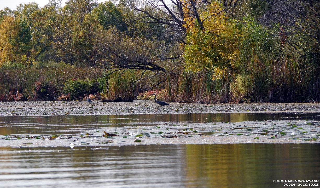 70096CrLeUsm - A lovely Sunday afternoon with Beth kayaking Lake Scugog from Port Perry